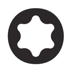 Star / Torx