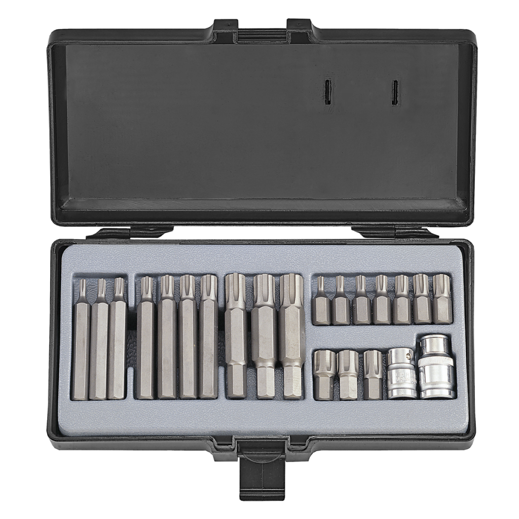 22pc 10mm Ribe bit set