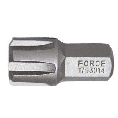 Force Bit Ribe (30mmL)