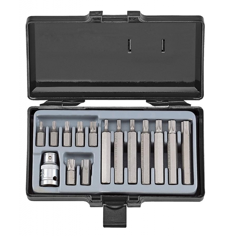 Force 15pc 10mm Star bit set